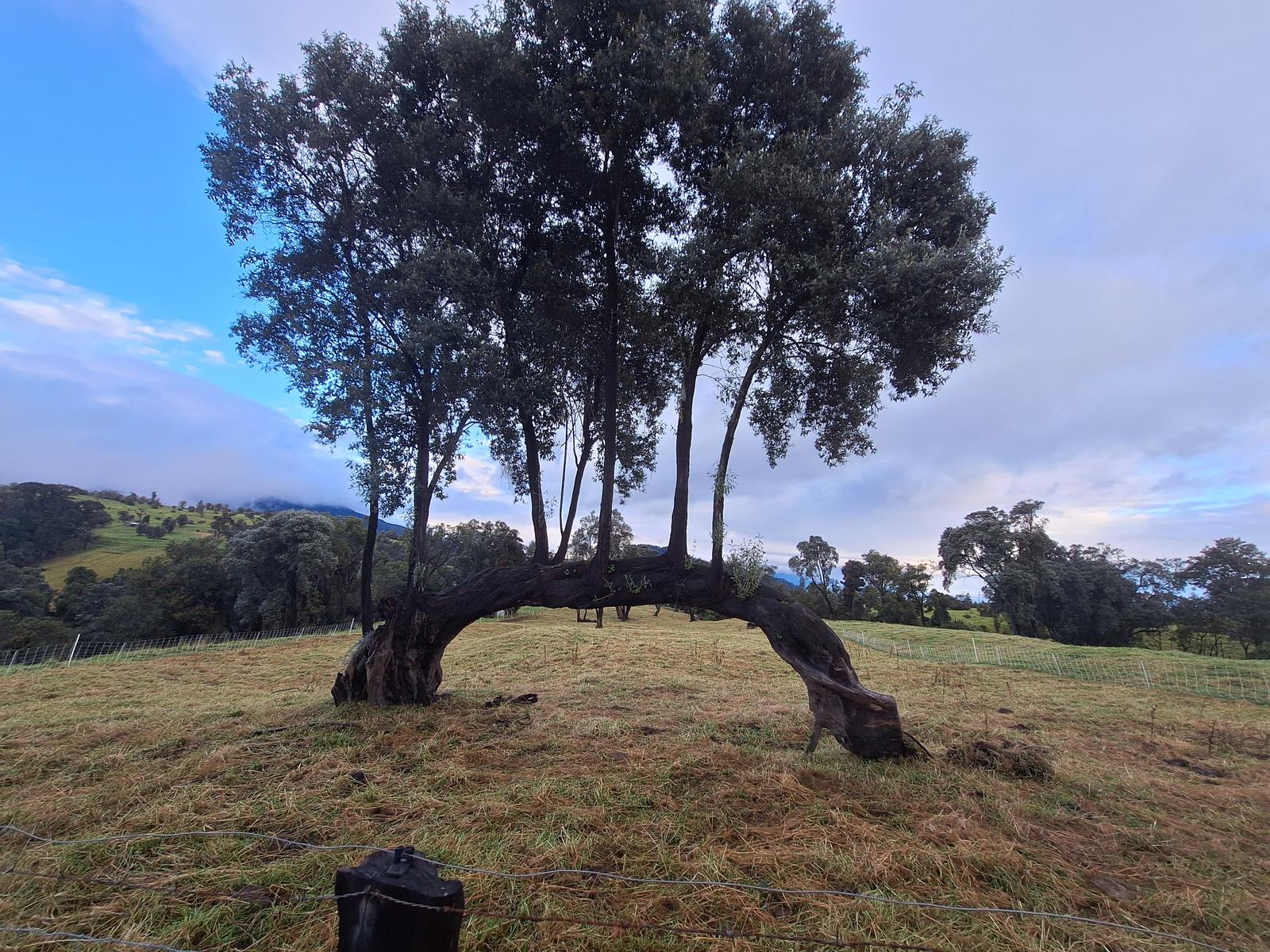Terreno amplio sobre el volcán