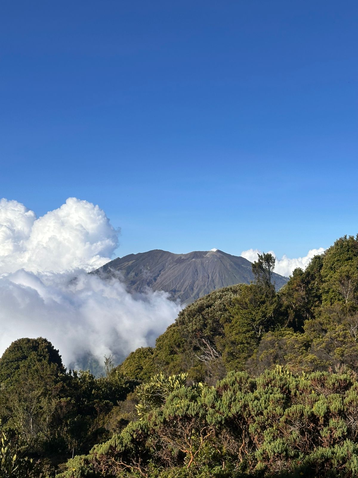 Terreno volcánico en el Cañón de Pandora