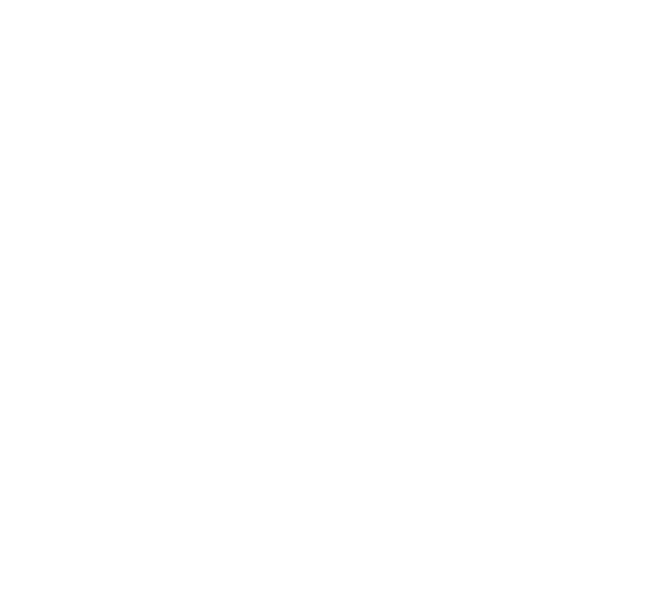 Paradise2Go